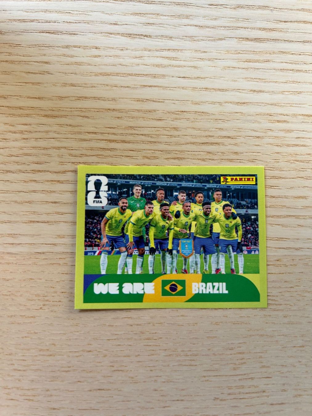 Panini Carte collezionabili: ⚽️ BRA 13 Panini – Usato da Steckborn venduto da DavidLM