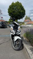 Honda NSC50R / Vision 50 – 2016 – 17’827 km