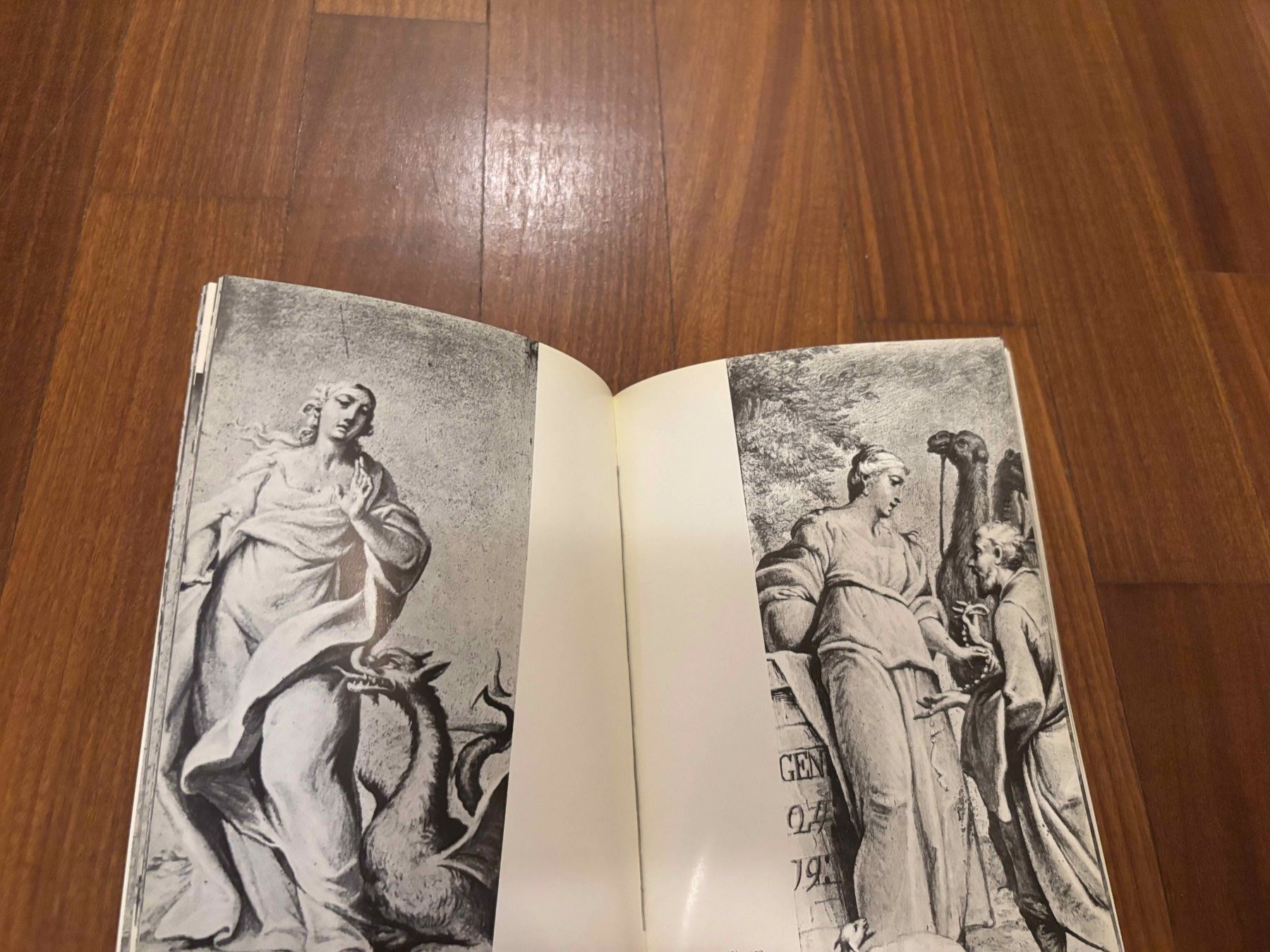 Libri: La Cattedrale di Lugano – Usato da Lugano venduto da Mark_Young 1