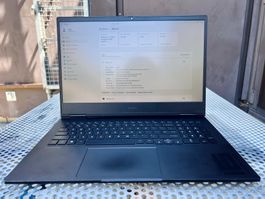 HP-laptop AMD 7840H / 16 GB RAM / RTX 4060 8 GB/ 256+512 SSD
