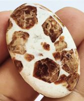 Cabochon L-7792 – Spessartin Granat 40,5x25x6 mm 62,05 Karat