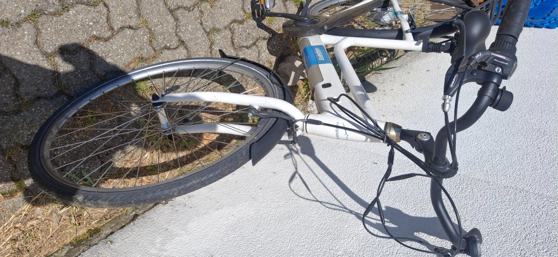 Leopard Velos: E bike Leopard – Defekt aus Kyburg von JBMNT2020 3