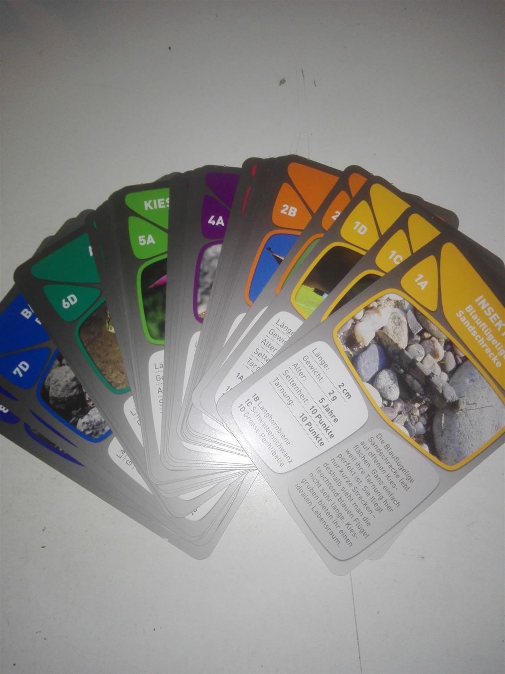 Giochi: Quartett - Entdecke die Kiesgrube – Usato da St. Gallen venduto da elk2020 4