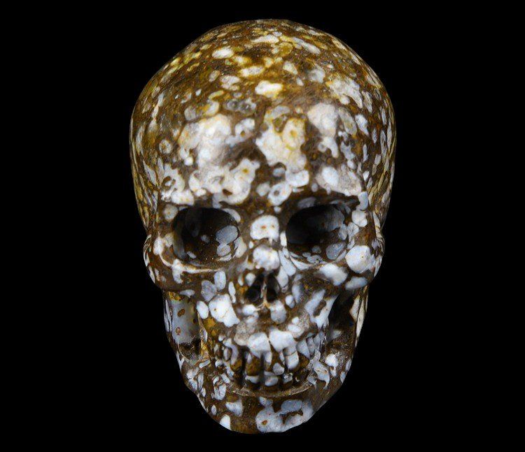 Mineralien & Heilsteine: Coffee Opal Skull – Gebraucht aus Walenstadt von vkt_qc8d 1