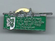 Notlandung Battle Queen in Utzensdorf, Pin