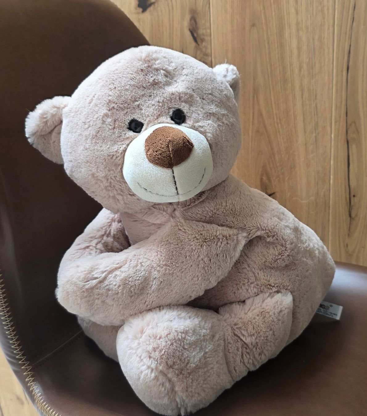 Steiff Spielzeuge: Steiff Teddybär rosa  – Neu (gemäss Beschreibung) aus Rheinsulz von Dred