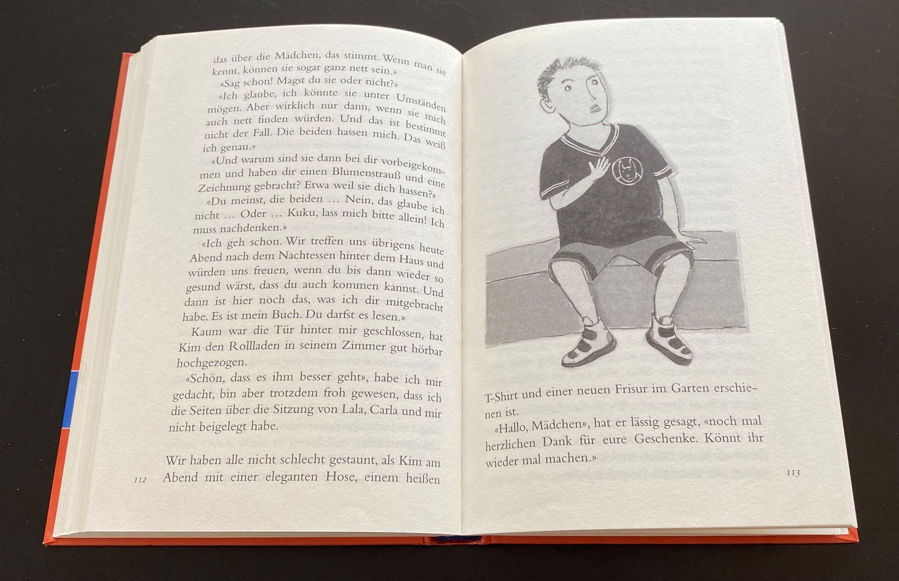 Bücher: Torgasse 12 / Martin von Aesch – Gebraucht aus Nussbaumen AG von schuba2000 4