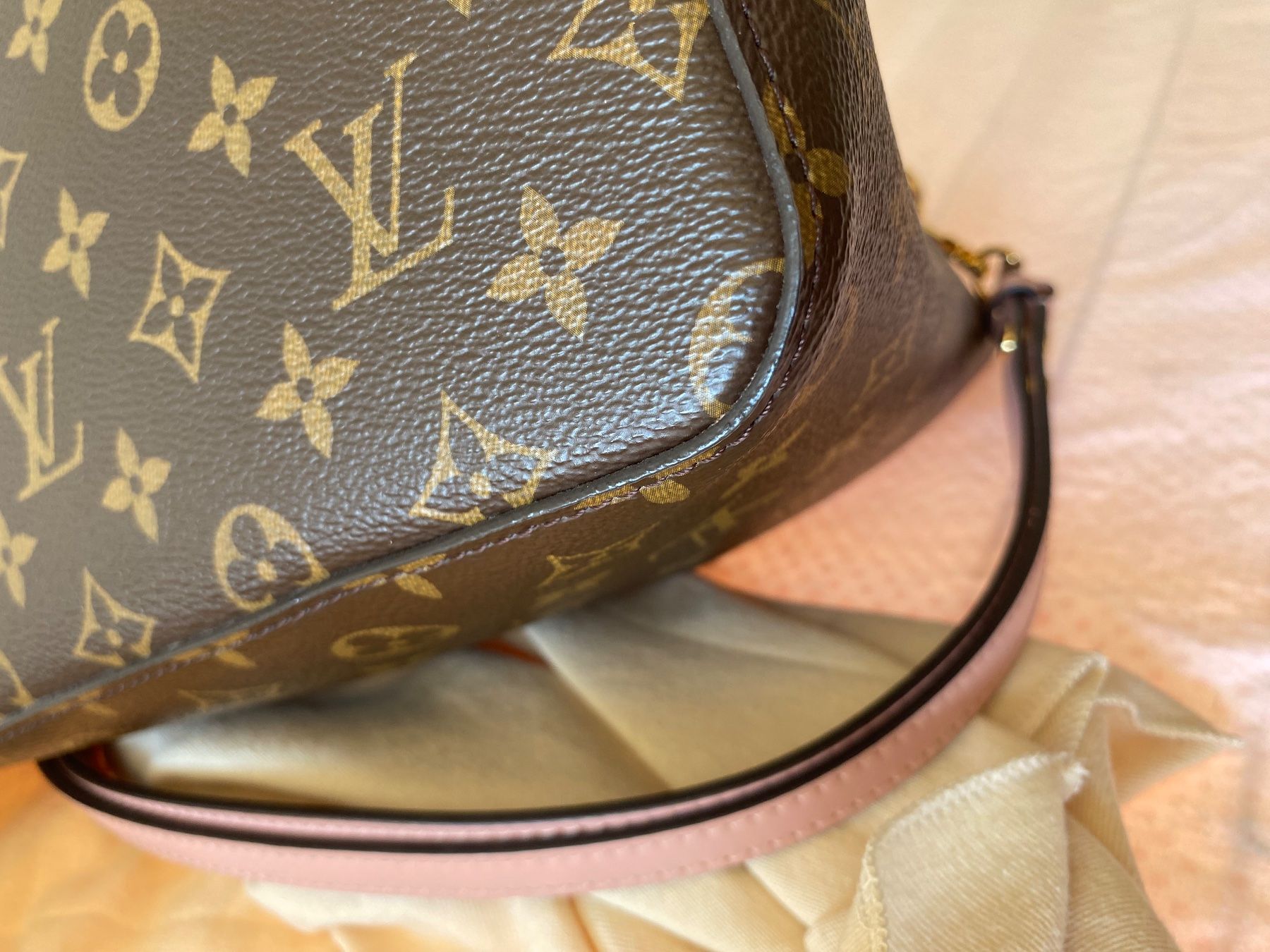 Louis Vuitton Borse da donna: Sac Louis Vuitton - NeoNoe – Usato da Carouge GE venduto da Patounette 8