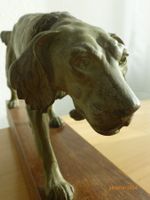 Grosse Bronze Figur Jagdhund auf Holzsockel. Antik.