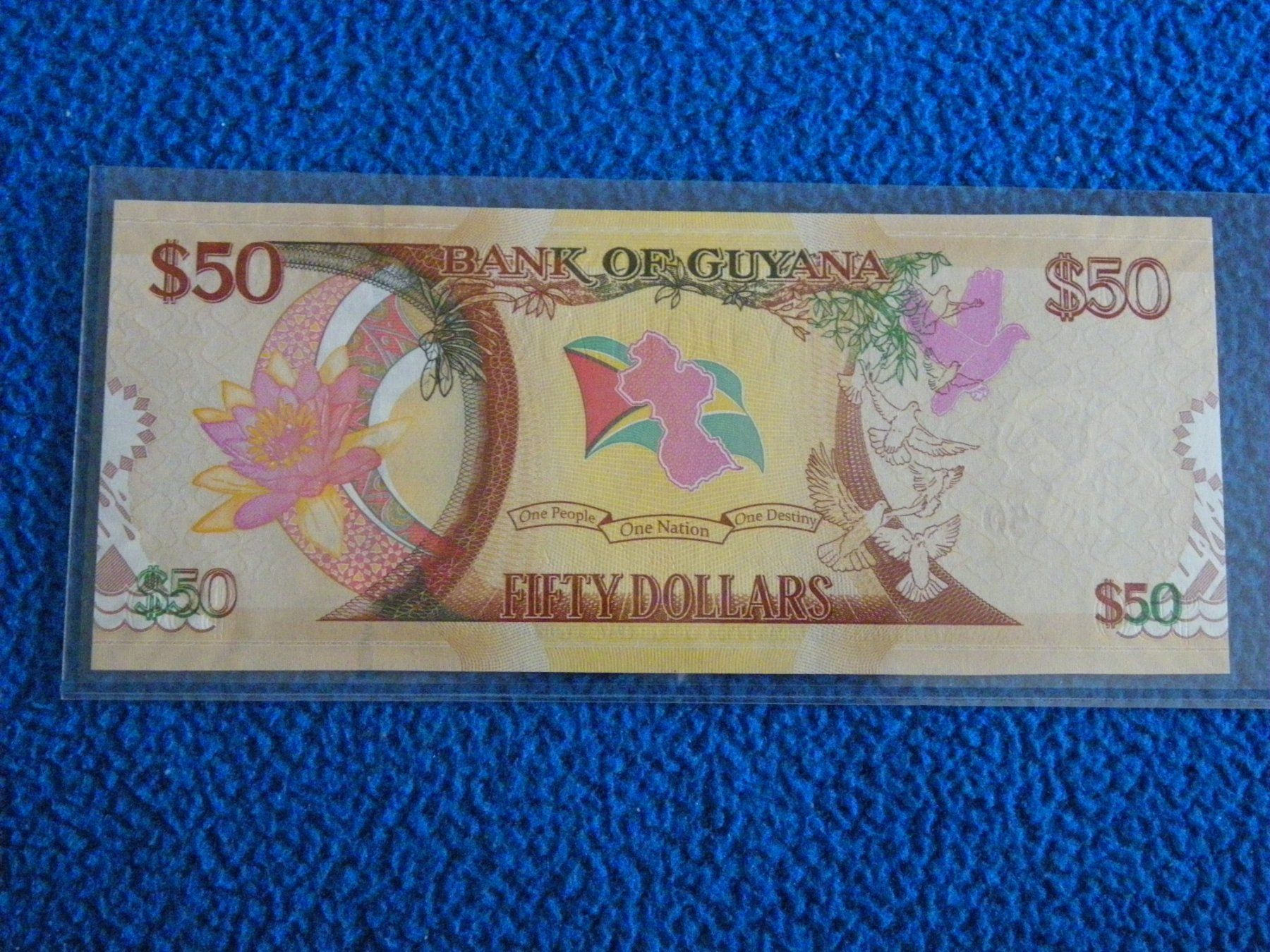 Banconote: Original Guyana 50 Dollar Note, Unzirkuliert – Nuovo (secondo la descrizione) da Untersiggenthal venduto da Rodri58 1