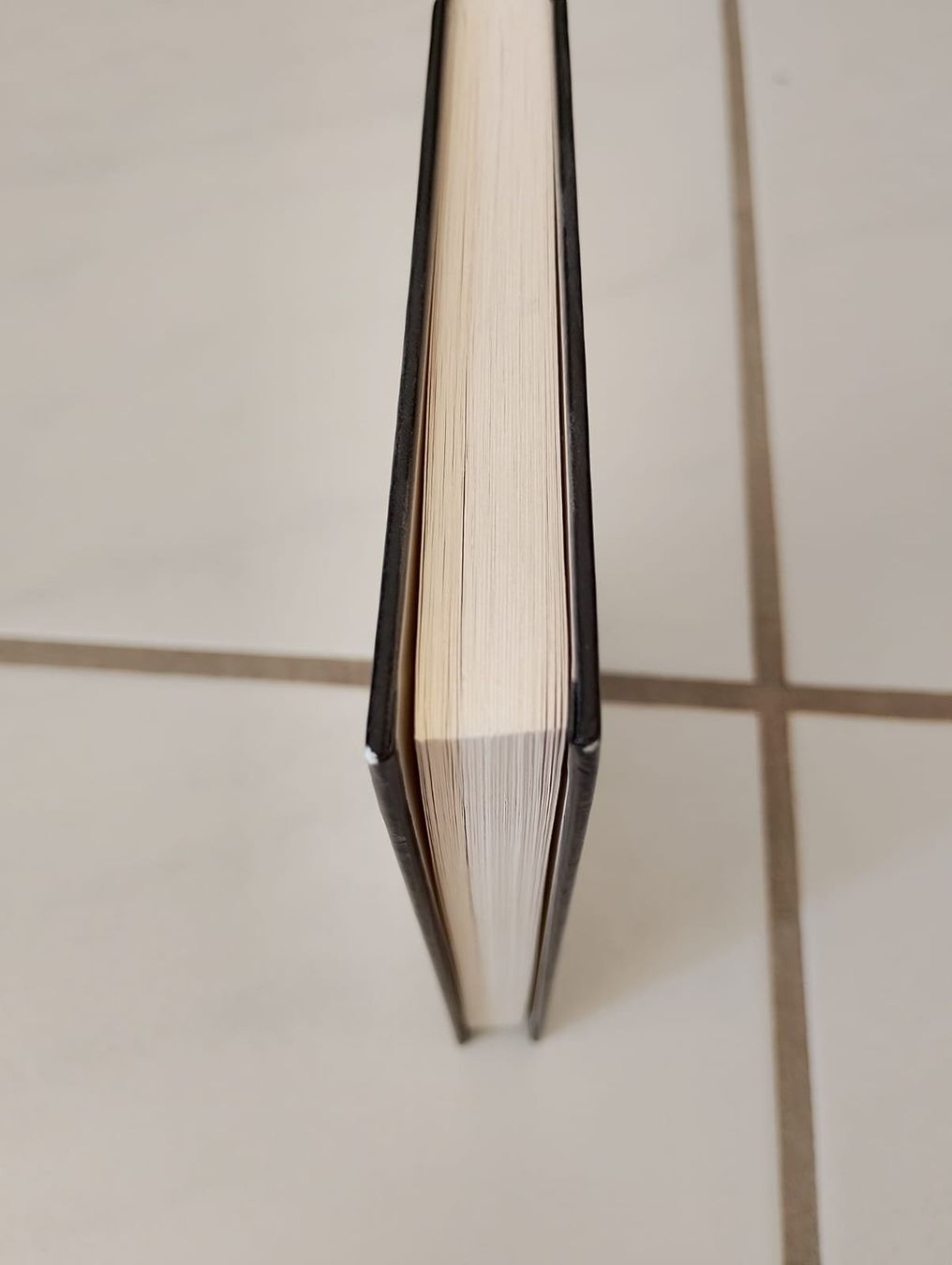 Libri: Das Untier - Ulrich Horstmann – Usato da Ehrendingen venduto da 2Guagua2 3
