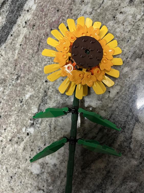 Lego Sonnenblumen  Comprare su Ricardo