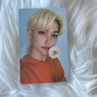stray kids felix nacific round 10 photocard