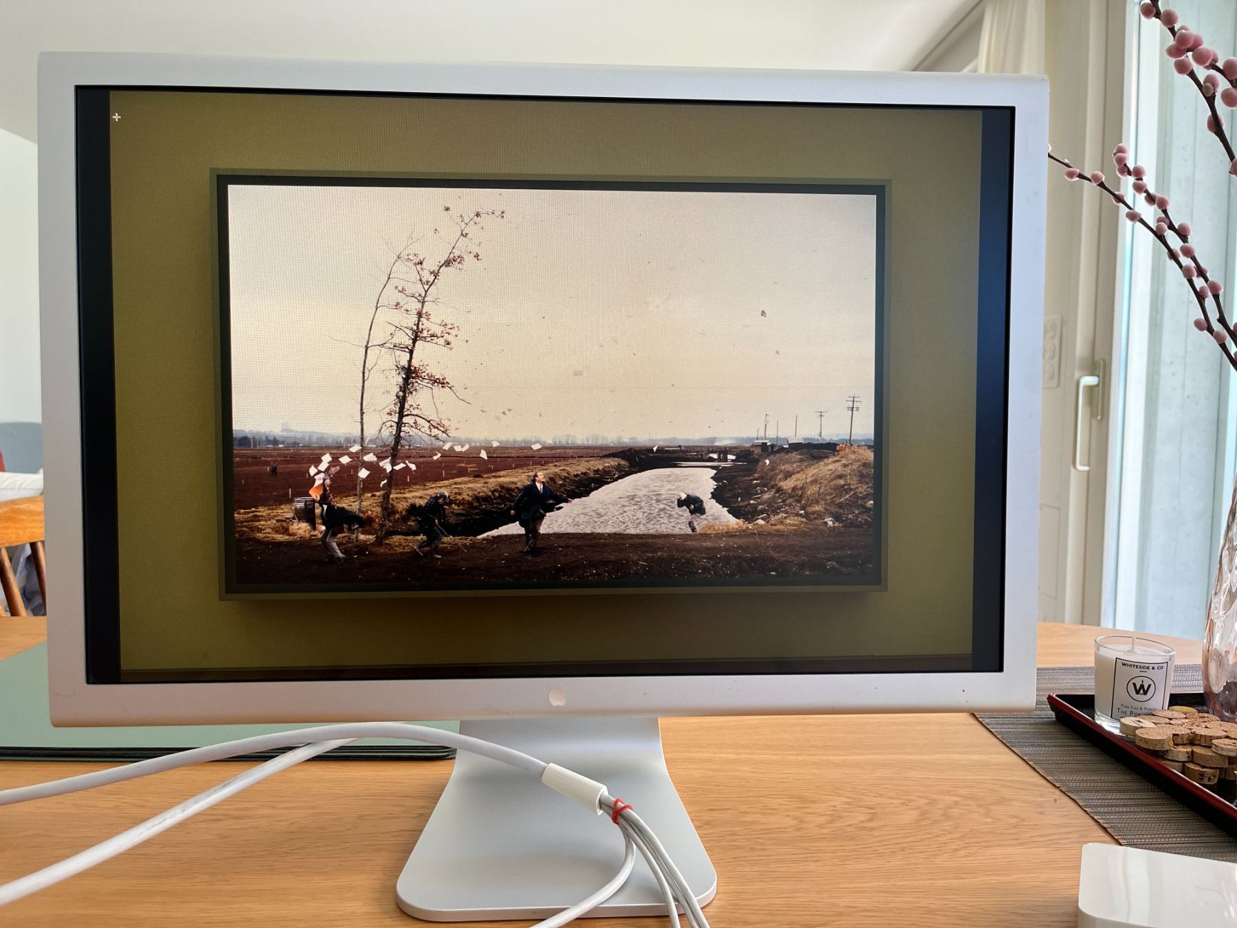 Apple Monitore: Apple Cinema Display 23" – Gebraucht aus Zollikon von Ekiben 1