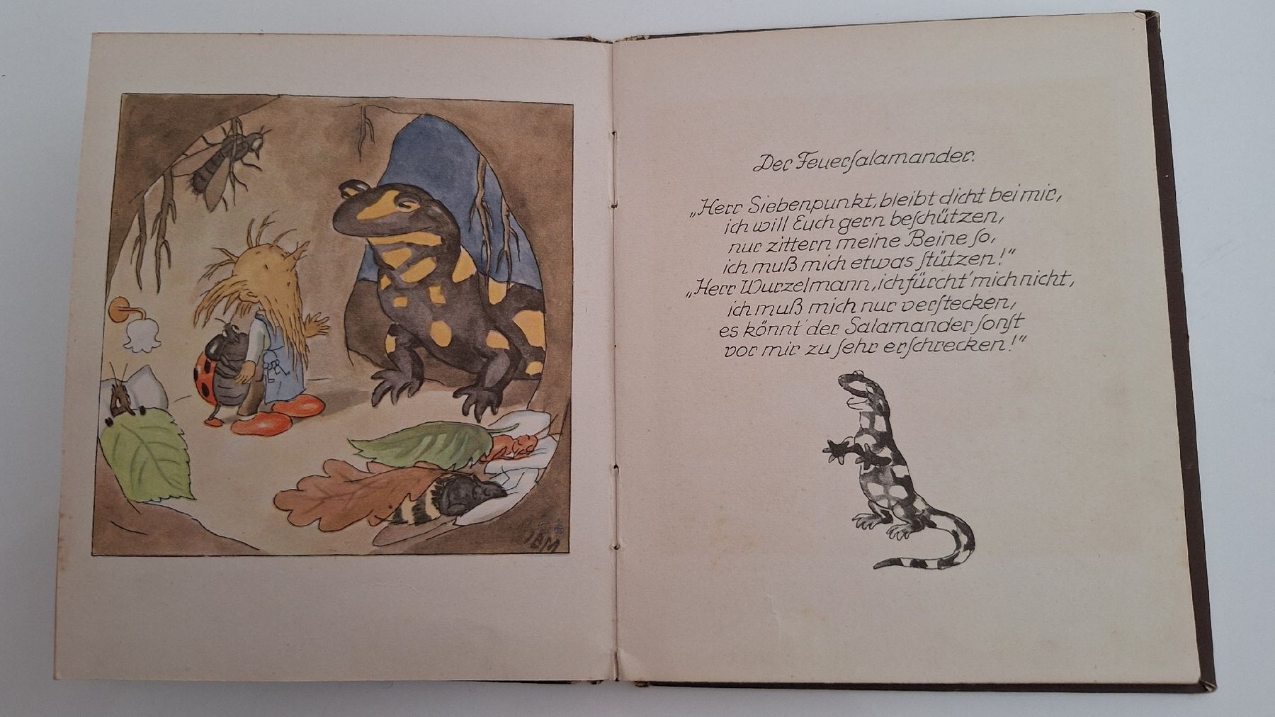 Livres: Bei den Wurzelmännlein – D'occasion à Muttenz par Biniruf 4
