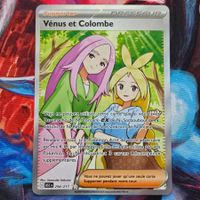 Pokemon Anthea and Concordia 254/217 Ascended Heroes FR