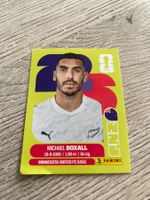 Panini Sticker - Michael Boxall