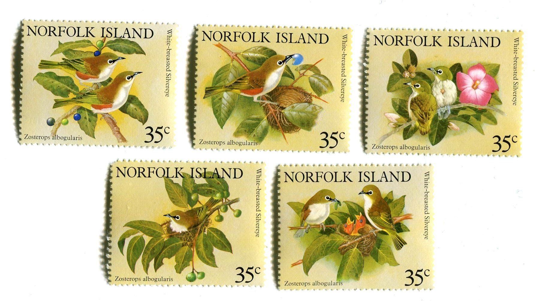 Tutti i francobolli: Briefmarken "Vögel". Norfolkinsel – Nuovo e nell'imballaggio originale da Basel venduto da Butsch5