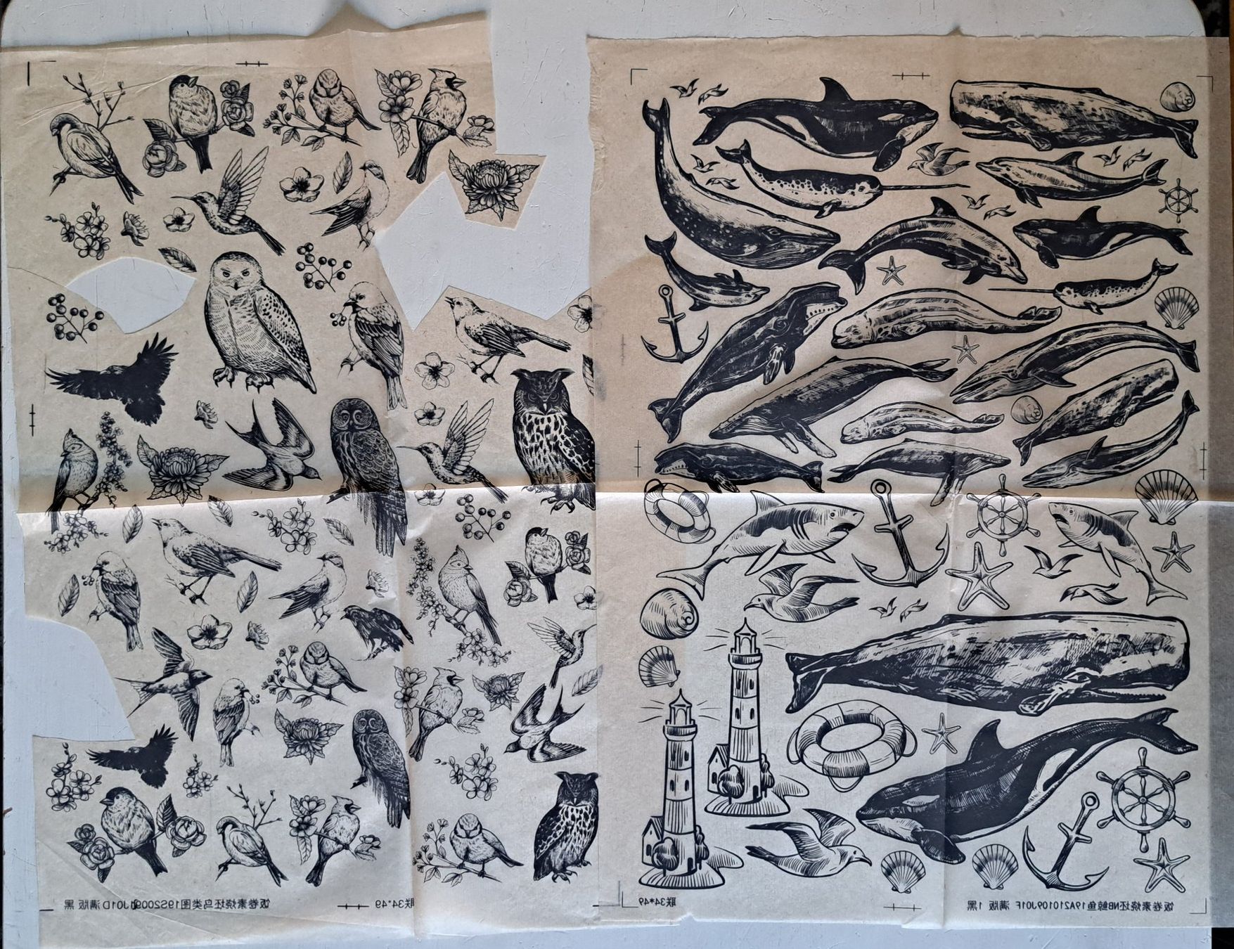 Schablonen: Décalcomanies pour céramique / underglaze – Gebraucht aus Lausanne von genybi 1