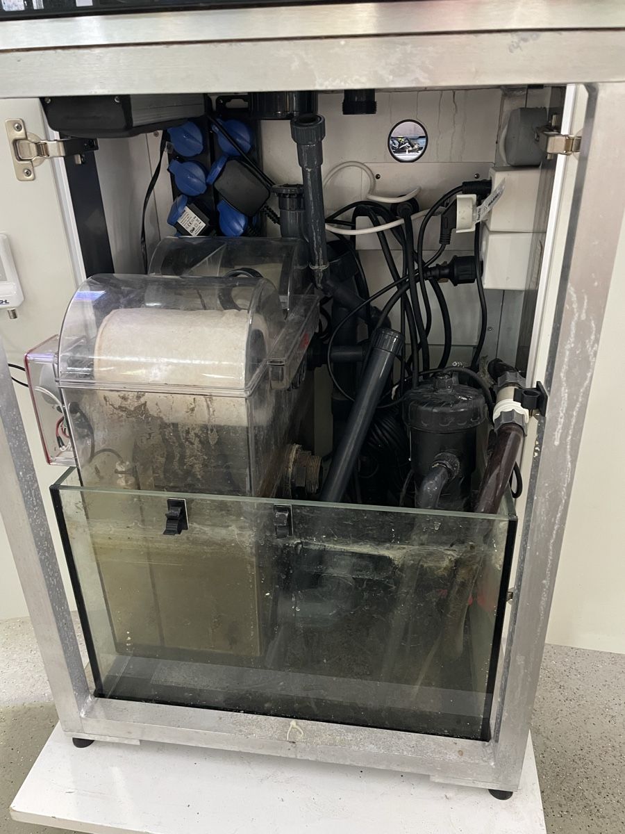 Aquarium: 210l 60x60x60 Aquarium mit Technikbecken – Gebraucht aus Oftringen von Aqualuz 1