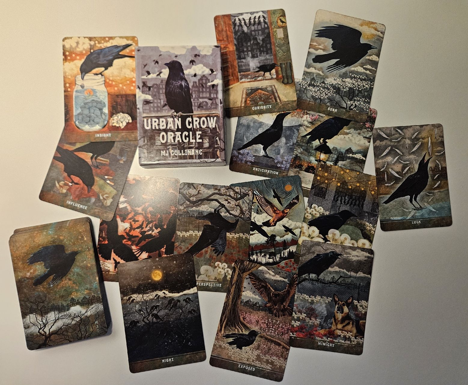 Libri: Urban Crow Oracle – Usato da Nuglar venduto da mjc_cw9f 1