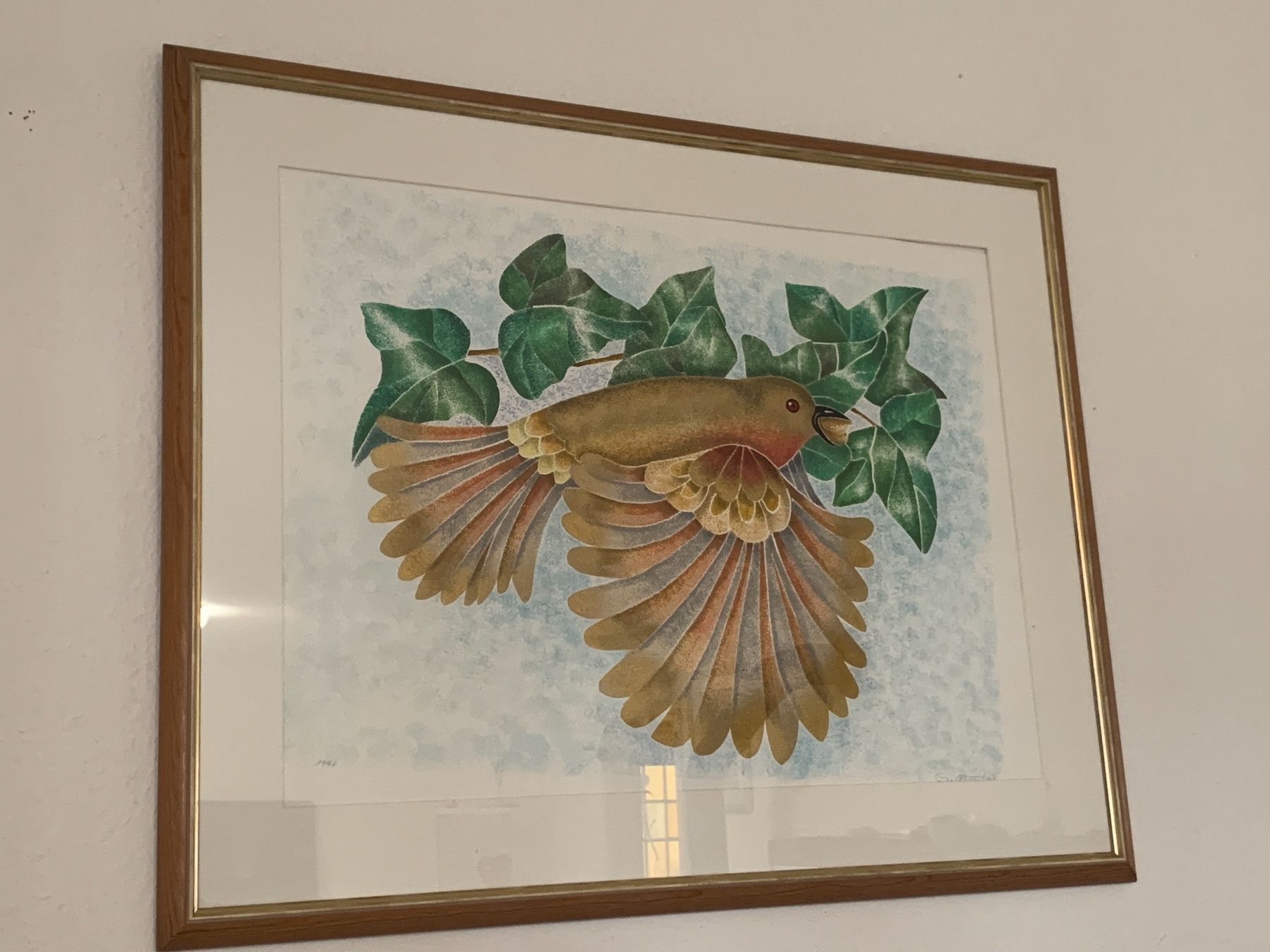Foto & Immagini: Bild Vogelfrei" von G.Monte 1999 – Usato da Regensdorf venduto da Spyke55 5