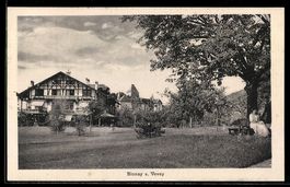 AK Blonay, Teilansicht des Ortes mit Fachwerkhaus
