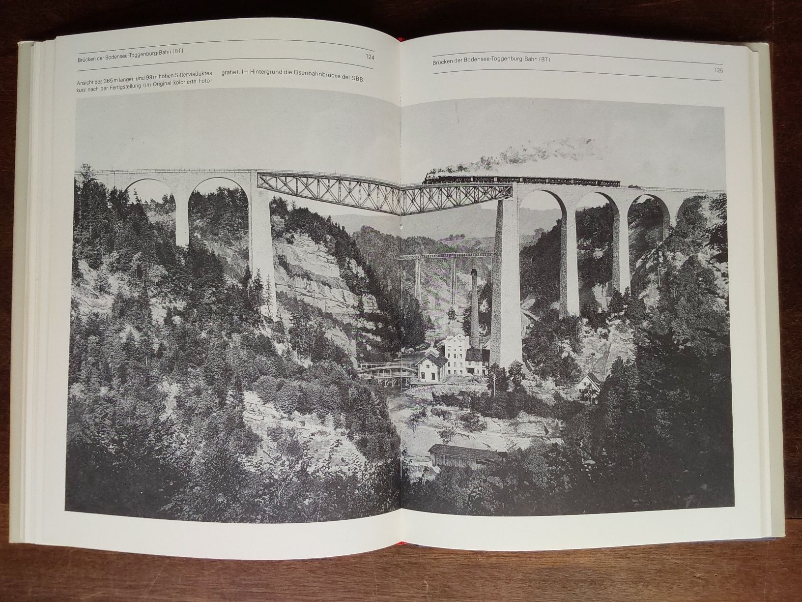Bücher: St.Galler Brücken. 1987 mit 189 Seiten.  – Gebraucht aus Steinach von Chilli1957 5