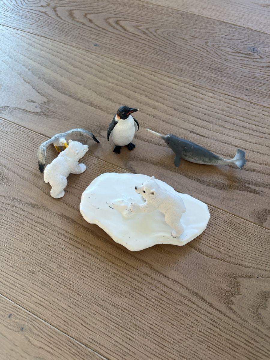 Schleich Spielzeuge: Schleich Set Eisbären & Co. – Gebraucht aus Buttikon SZ von nene2017