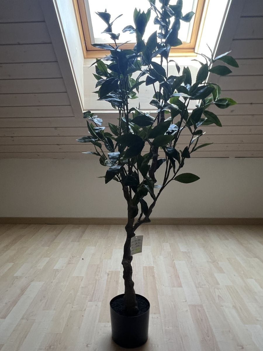 Piante & sementi: Schöner Kunstbaum 135 cm – Nuovo (secondo la descrizione) da Lohn-Ammannsegg venduto da Kat_2fr7