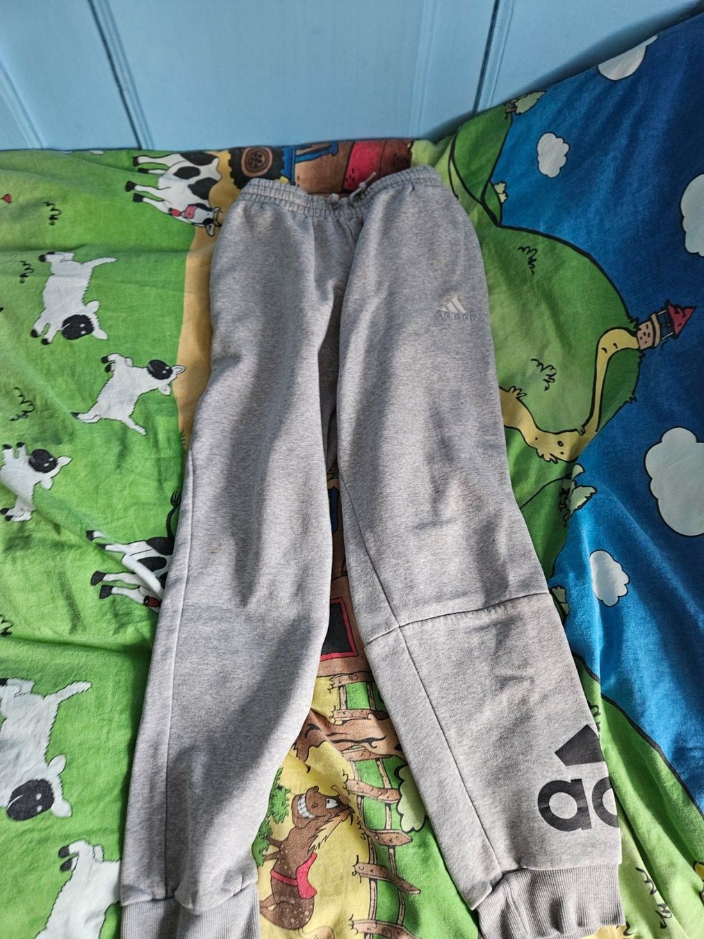 Adidas Hosen: Jogging Adidas gris – Gebraucht aus Ferpicloz von Olivier_Jut