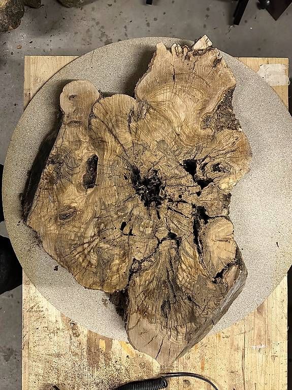 Holzartikel: Olivenholz Baumscheibe -03 – Gebraucht aus Buus von macipioji 1
