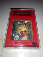 Das Geheimnis der Falkenburg  (Andrwas Schwantge)      ©Jona