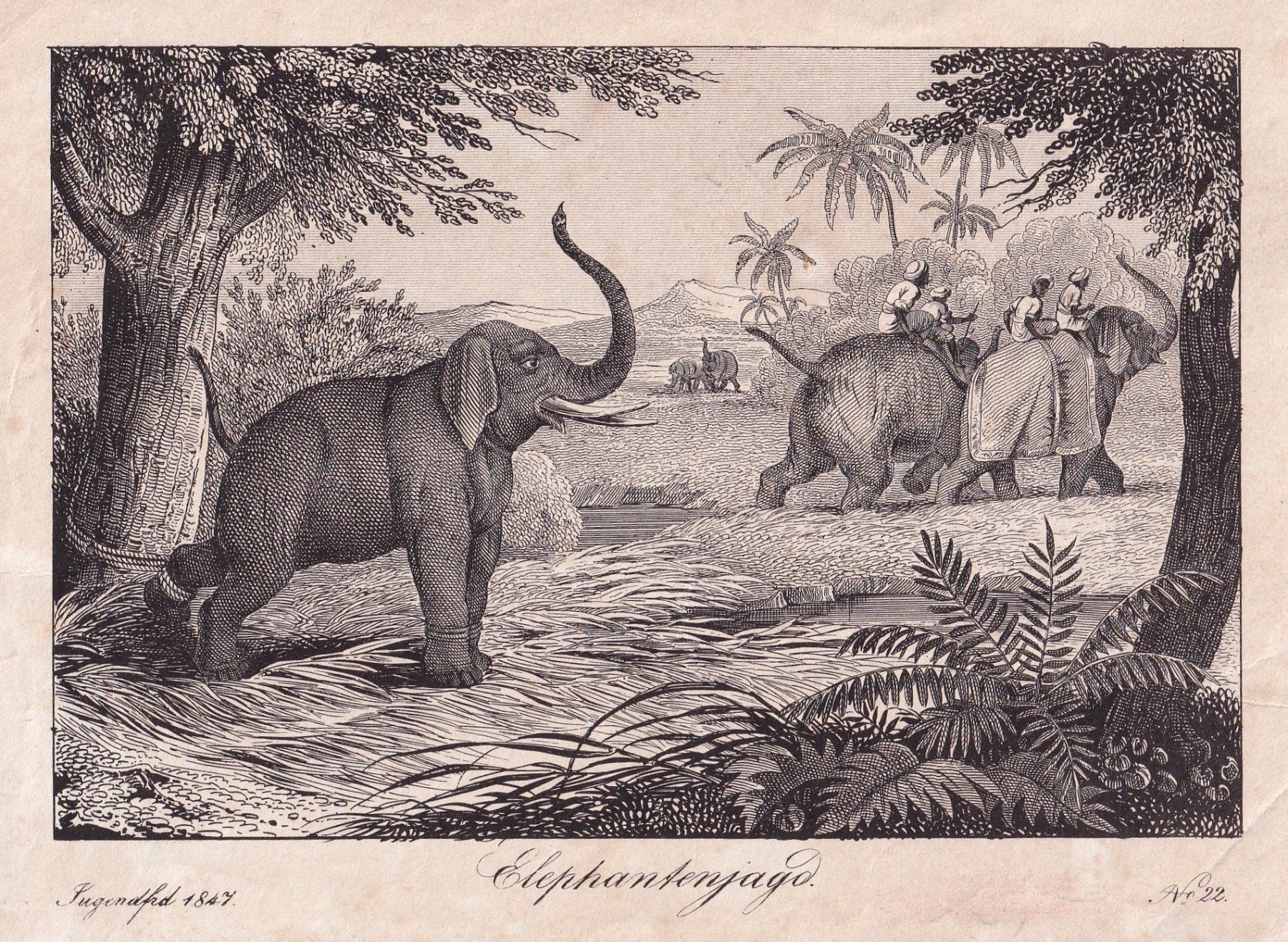 Gravures: ELEFANT, ELEFANTENJAGD, LITHOGRAPHIE 1847 – D'occasion à Grüningen par Kartensammler