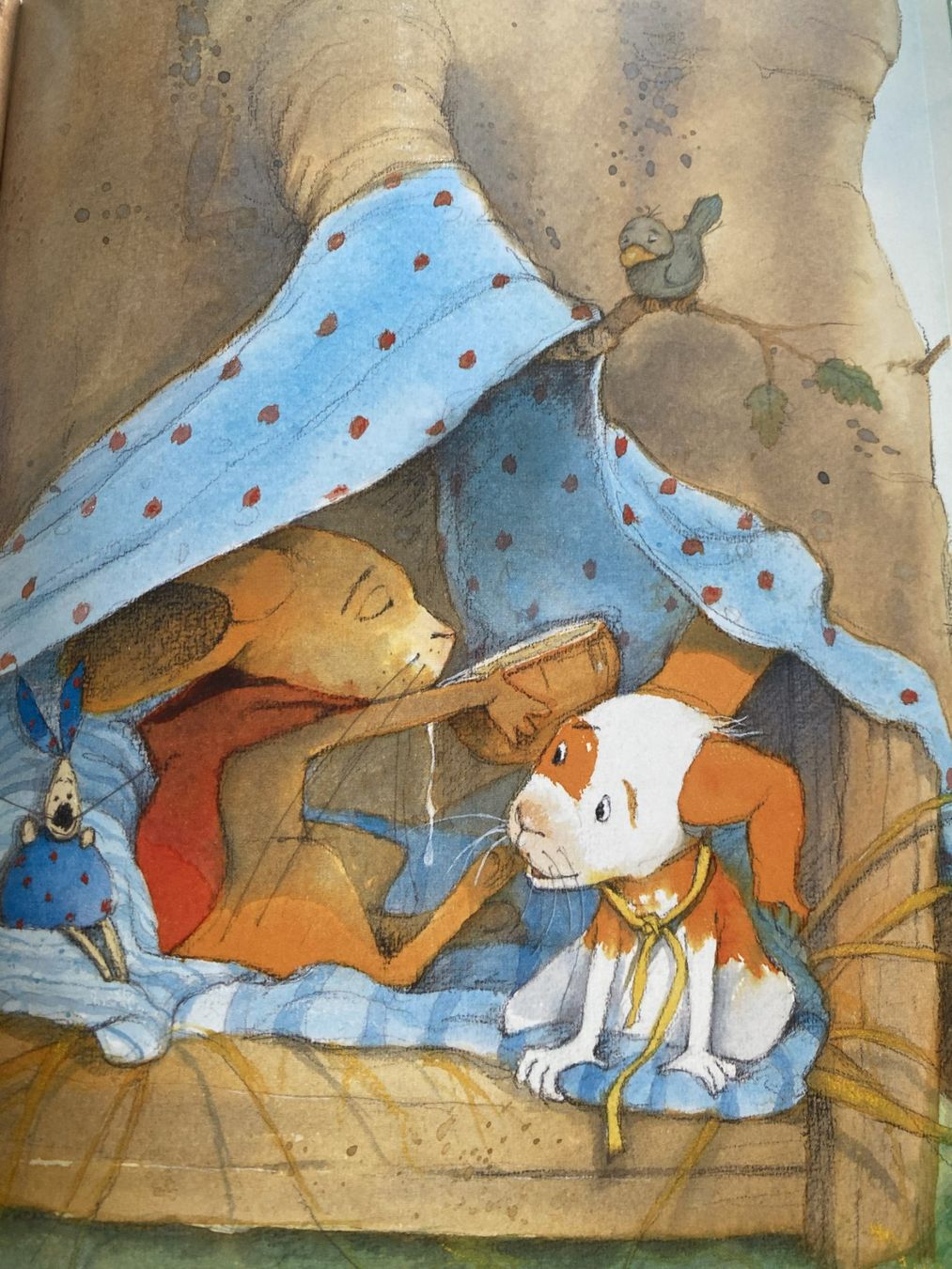 Bücher: Stay in Bed, Davy – Neu (gemäss Beschreibung) aus Sachseln von basti1950 5