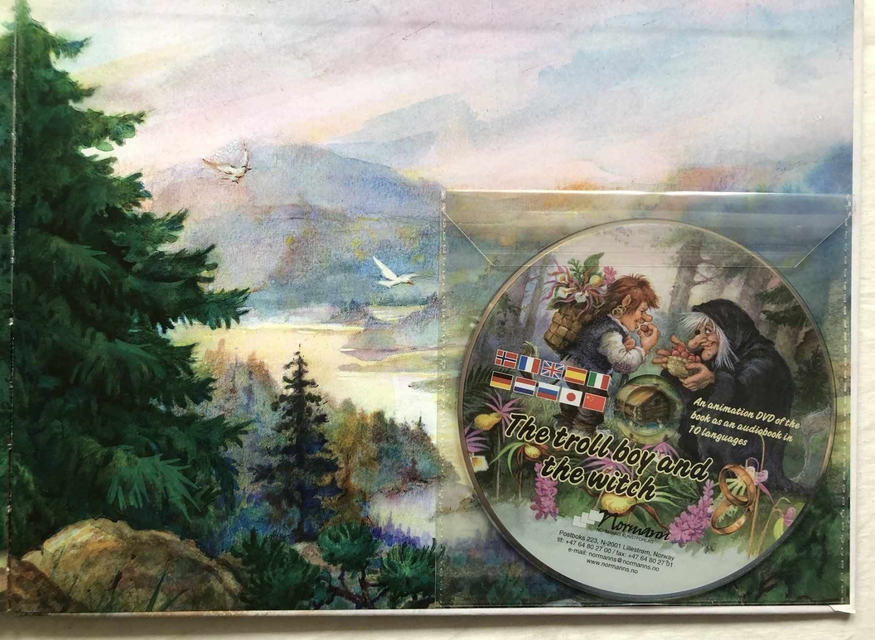 Libri: Der Trolljunge und die Hexe inkl. DVD – Usato da Schaffhausen venduto da durruti 3