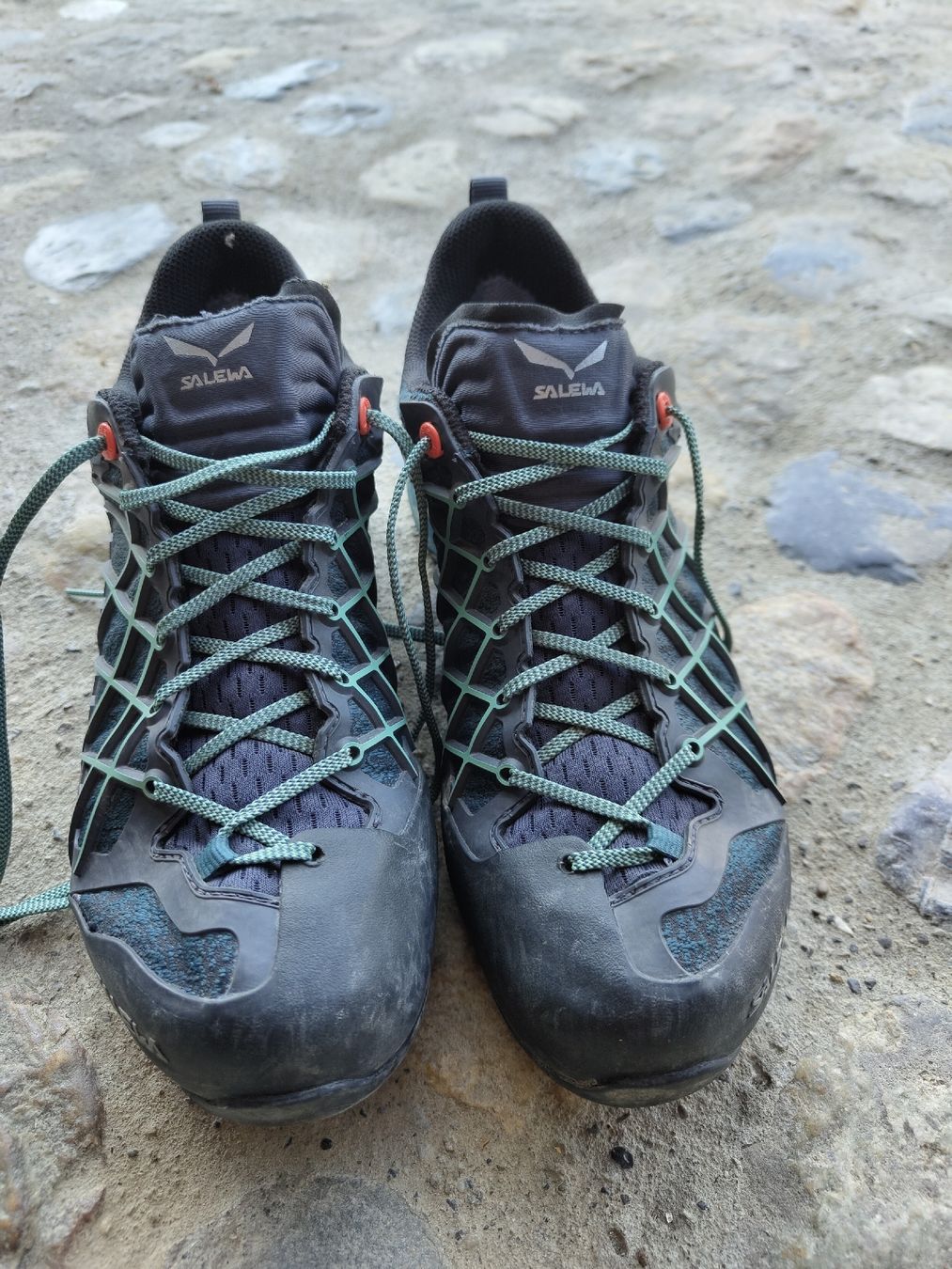 Salewa Scarpe da donna: Trekkingschuhe Salewa, Gore-Tex, Grösse 40.5, gebraucht – Usato da Wiggiswil venduto da mic_s7dj