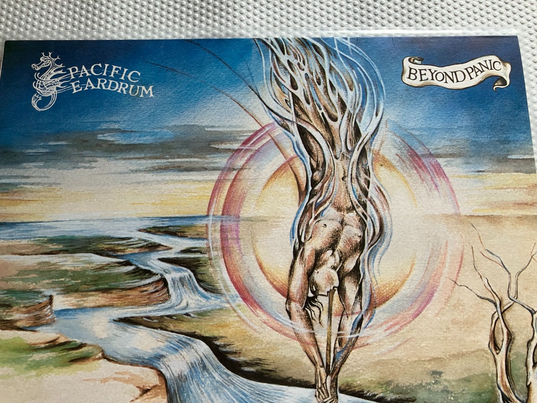 Dischi in vinile: Pacific Eardrum – Usato da Aarwangen venduto da Jukebox3 1