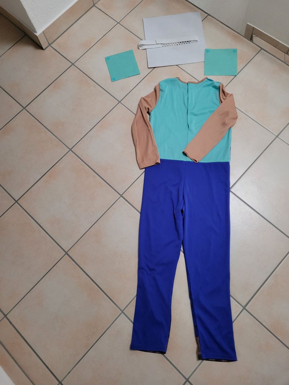 Costumi: Minecraftkostüm – Usato da Henau venduto da AXAA 2