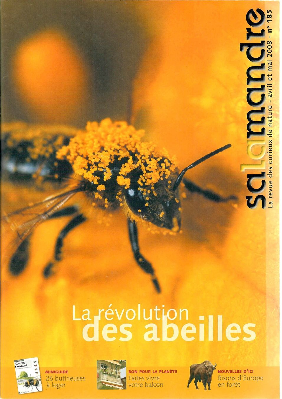 Revues & Magazines: Révolution des abeilles – D'occasion à Villars-Burquin par Rodjeurs