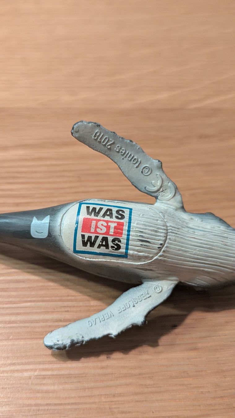 Audiolibri: Tonie Was ist Was Wal – Usato da Vernier venduto da Kruemelchen_21 1