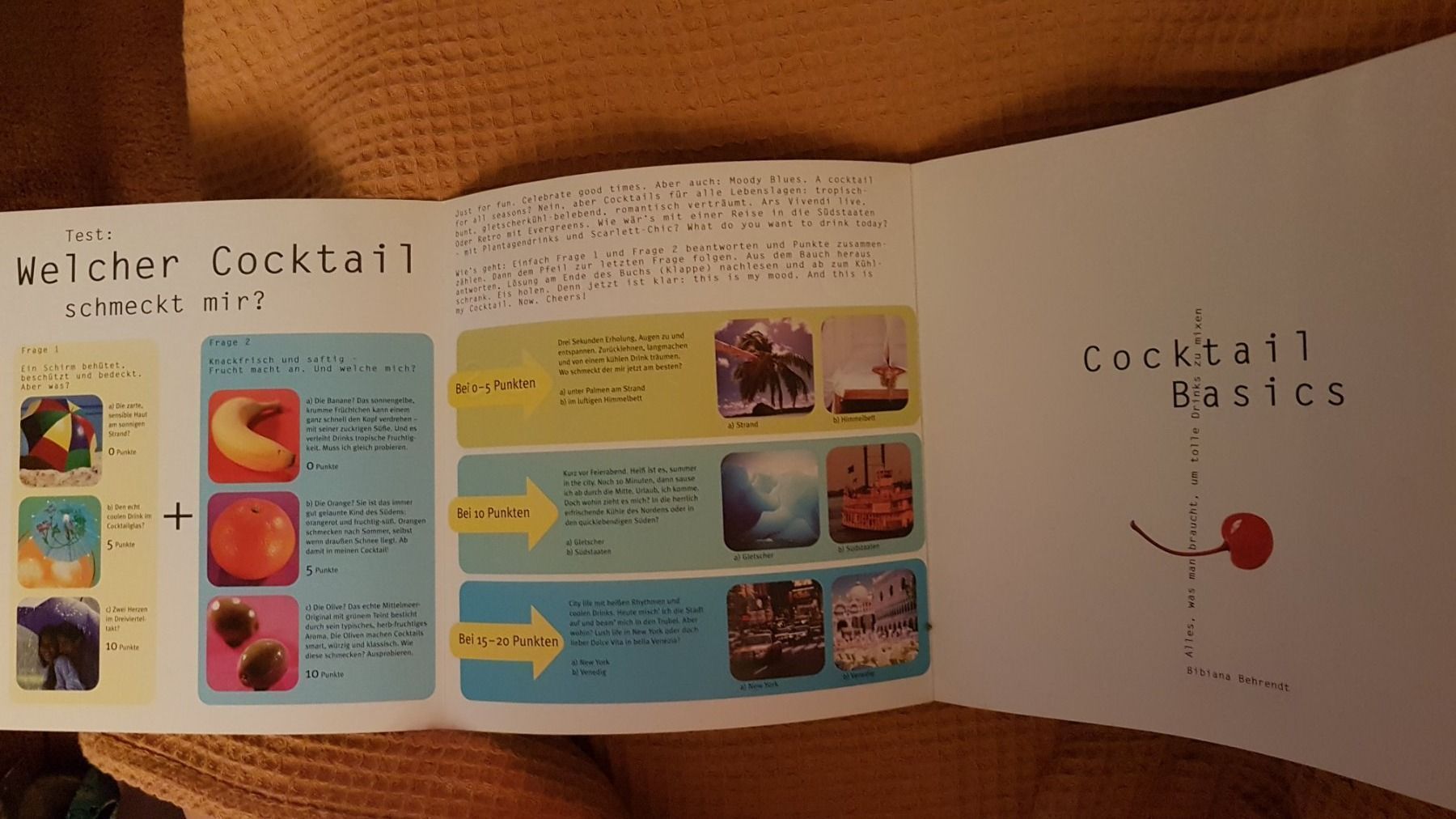 Libri: Cocktail Basics – Usato da Oberengstringen venduto da Asteroid56 2