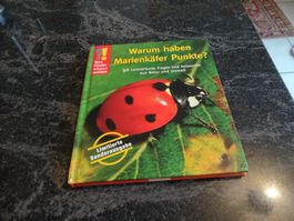 Kinderbuch: Warum haben Marienkäfer Punkte? Top Zustand!