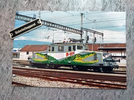 Yverdon-Ste Croix Krokodil - Foto