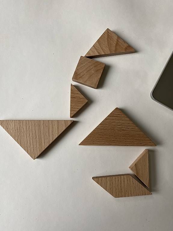 Altro in Decorazioni & Accessori: Holz Tangram in Blechdose – Usato da Brugg AG venduto da FlowerStreet 1