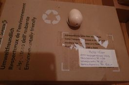 Bastel-und Werkmaterial/Ostern: 100Stk Holz-Eier, 40mmx60mm