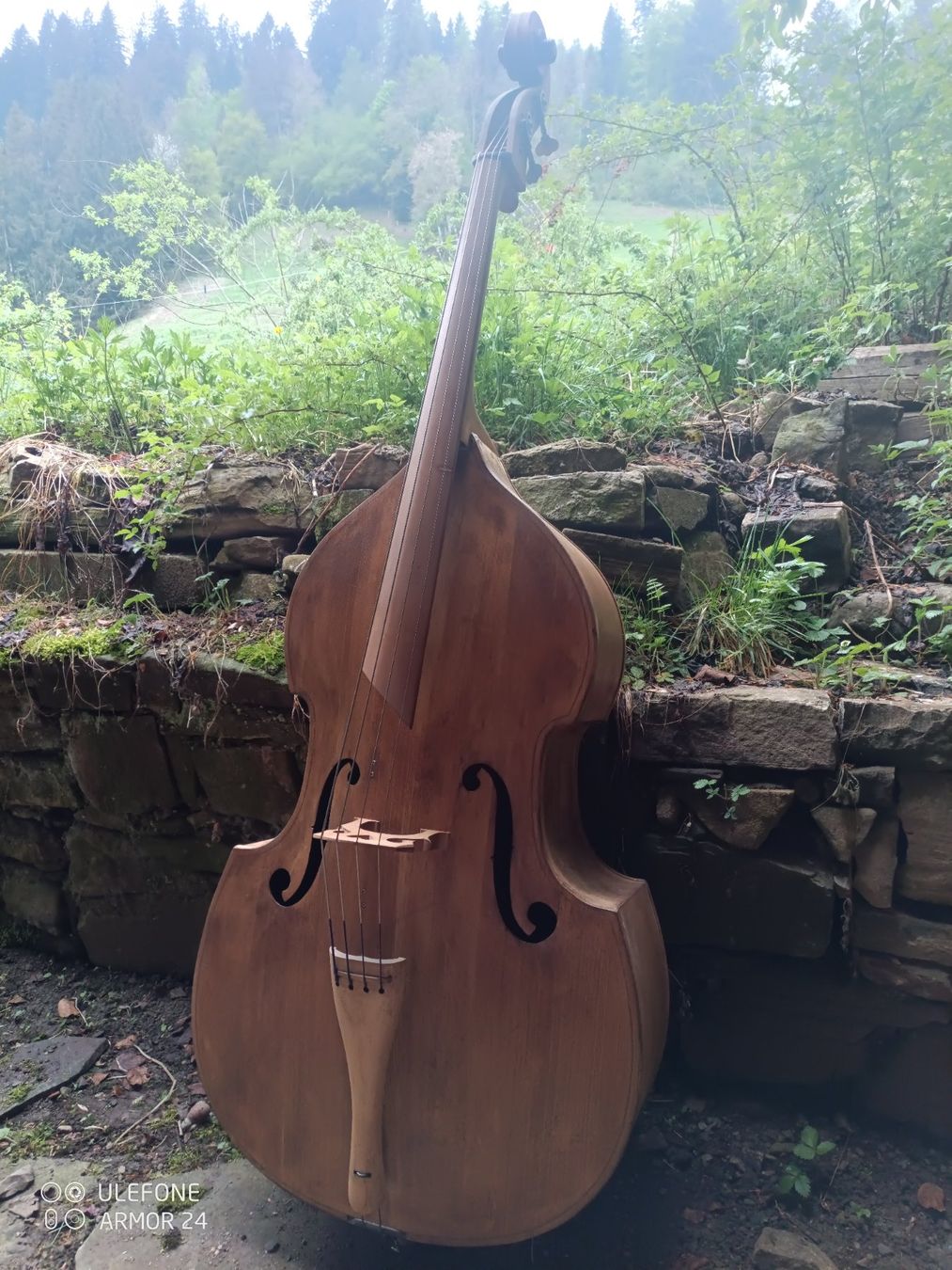 Strumenti musicali: Contrebasse 3/4, contreplaqué,marque ukrainienne – Usato da bonnefontaine venduto da sarchak