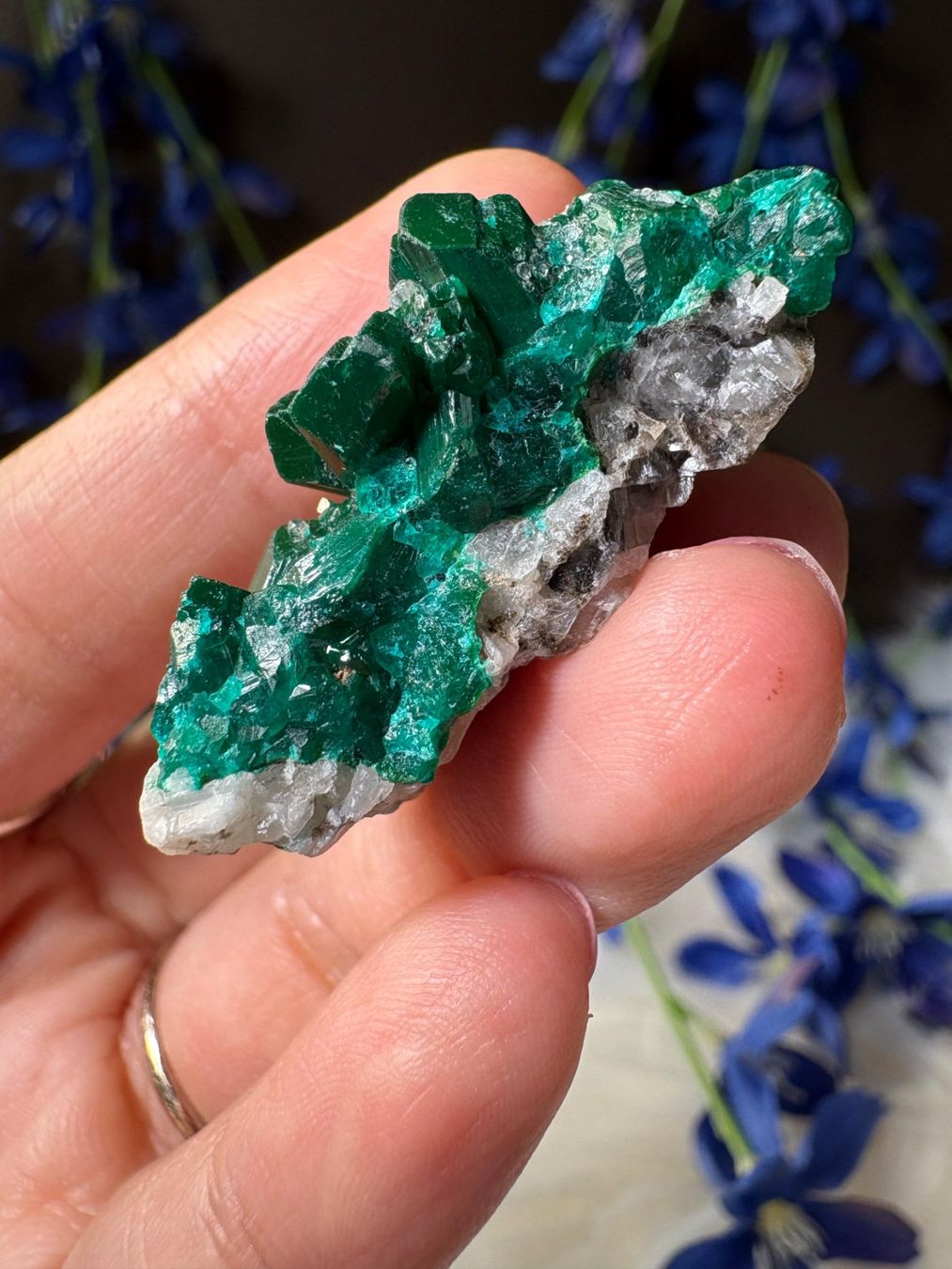 Mineralien & Heilsteine: Dioptas – Neu (gemäss Beschreibung) aus Neuheim von m.hald 4
