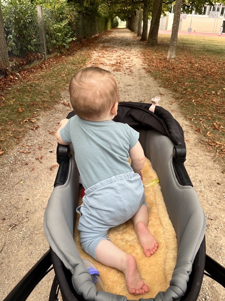 Culle: Thule Urban Glide Bassinet – Usato da Bern venduto da ale_q8dq
