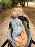 Thule Urban Glide Bassinet